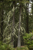 /album/sankt-lambrecht-12-april/st-lambrecht-12-04-2026-23-jpg/